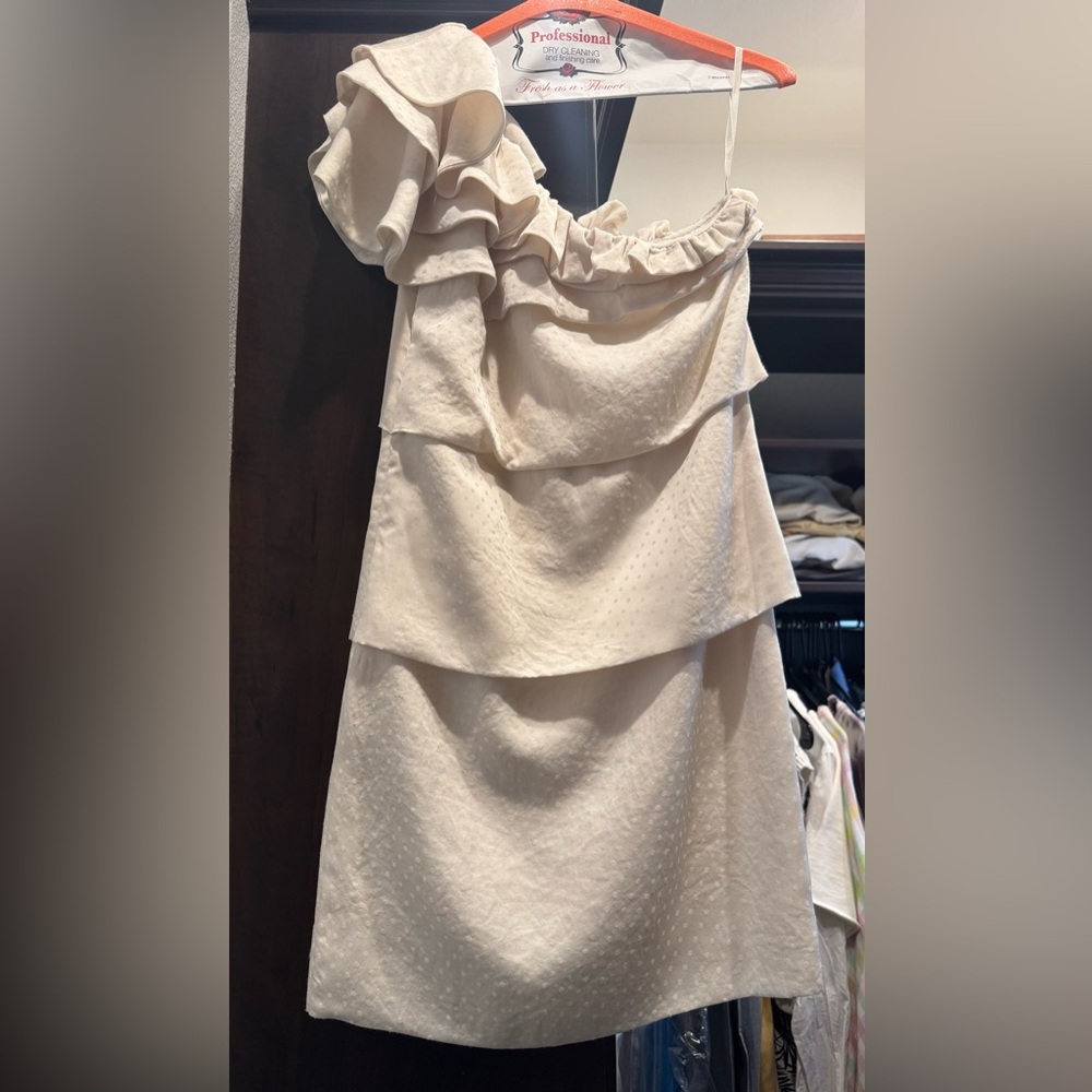 Cream Ruffle Dress - Picture 4 of 4